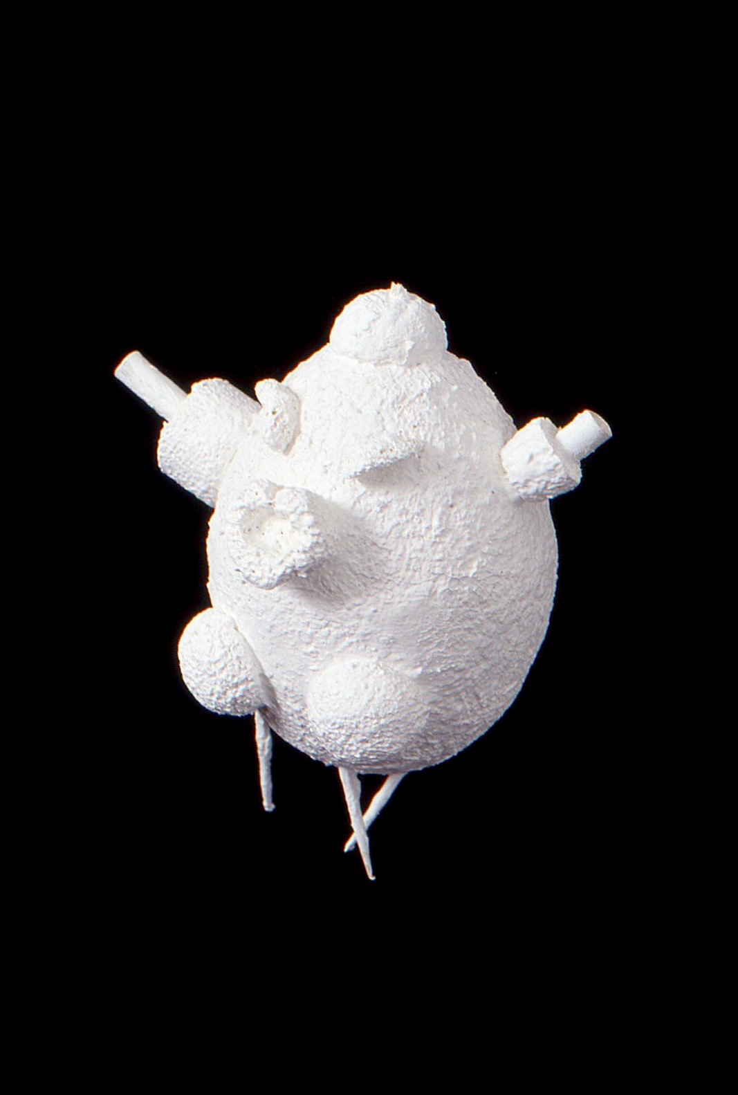 Creature in Motion — white ceramic form